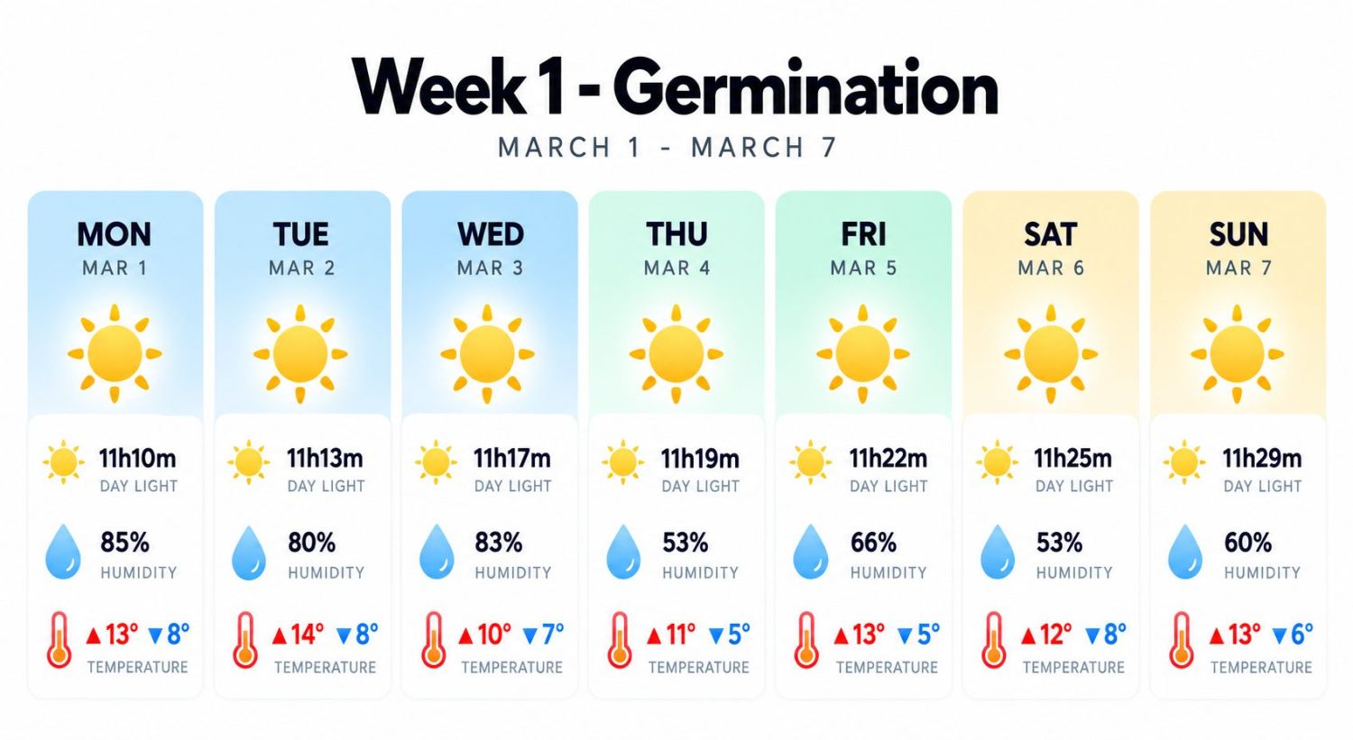 Outdoor cannabis grow in Italy: germination