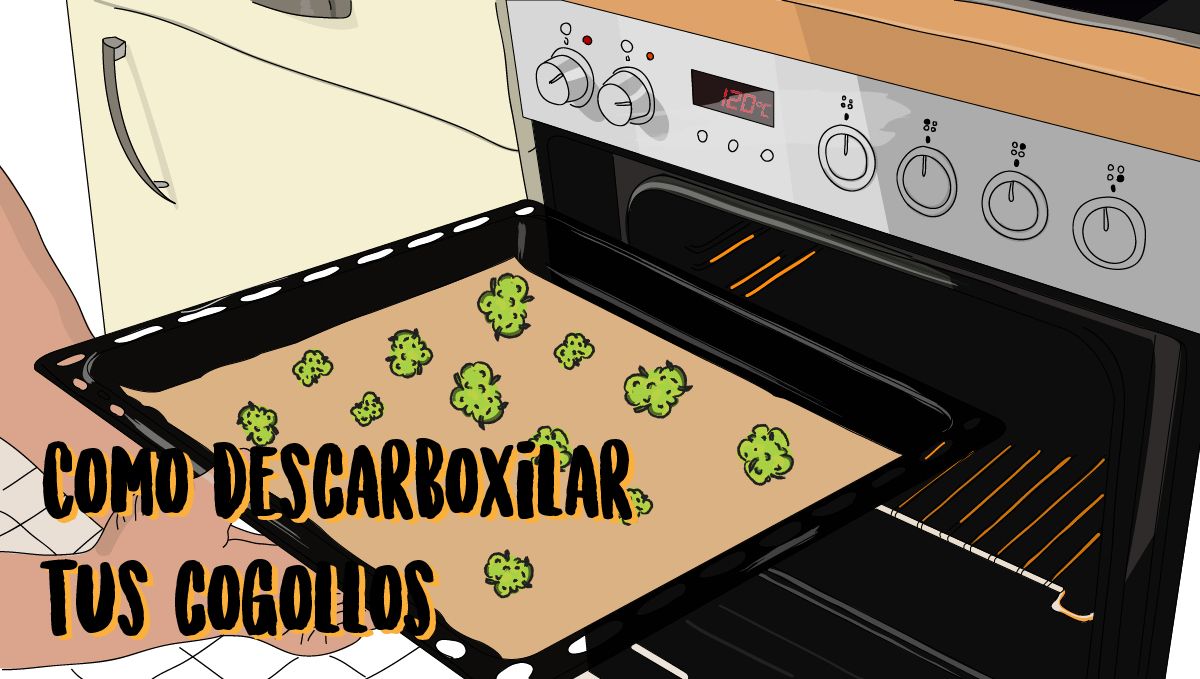 La descarboxilación es el primer y más importante paso para hacer cannabutter.