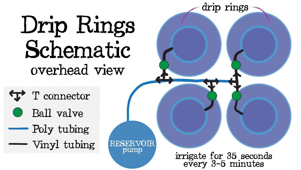 Automatic Drip Irrigation Setup for Indoor Cannabis Grow: Drip rings infographic Automatic Drip Irrigation Setup for Indoor Cannabis Grow: Drip rings infographic