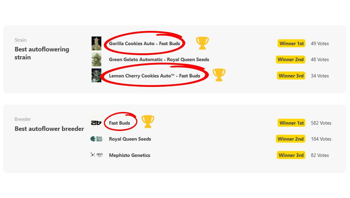 最佳自动开花品种