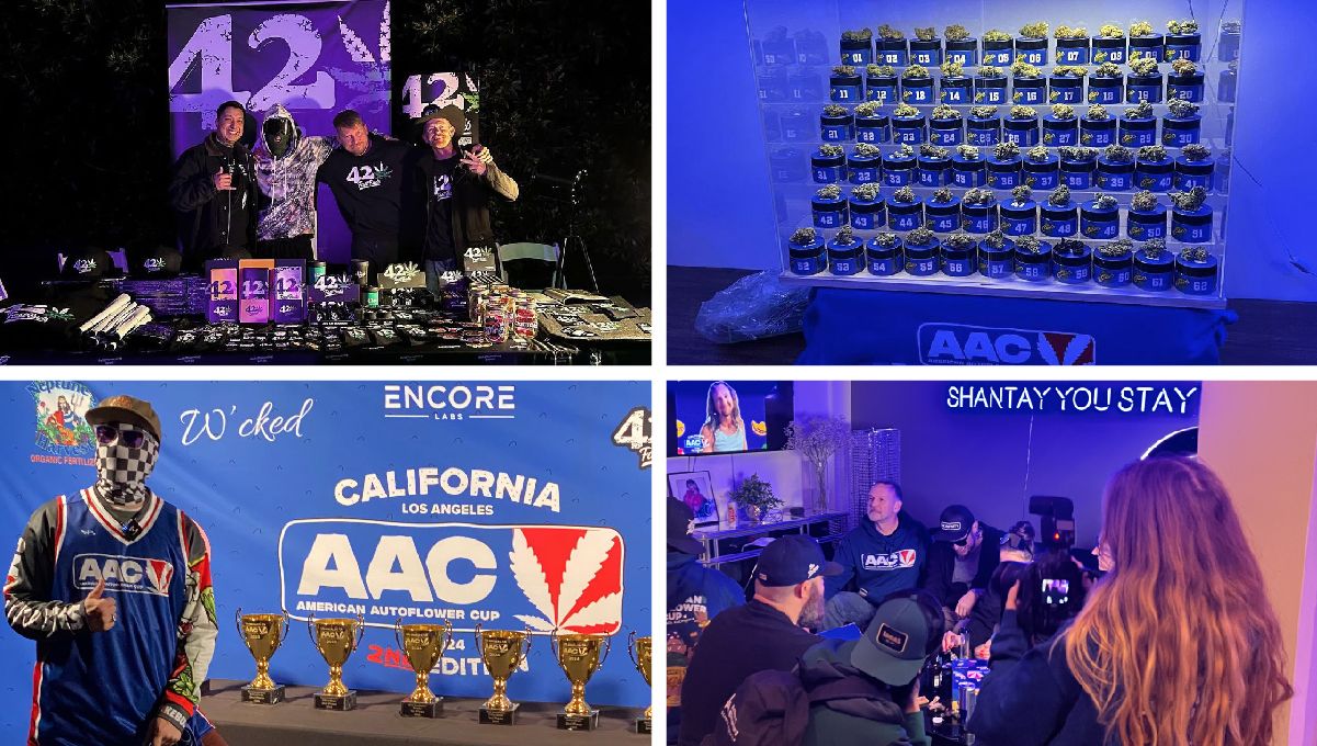 Ztrawberriez Auto und Banana Purple Punch Auto gewinnen den The American Autoflower Cup 2024! Ztrawberriez Auto und Banana Purple Punch Auto gewinnen den The American Autoflower Cup 2024!