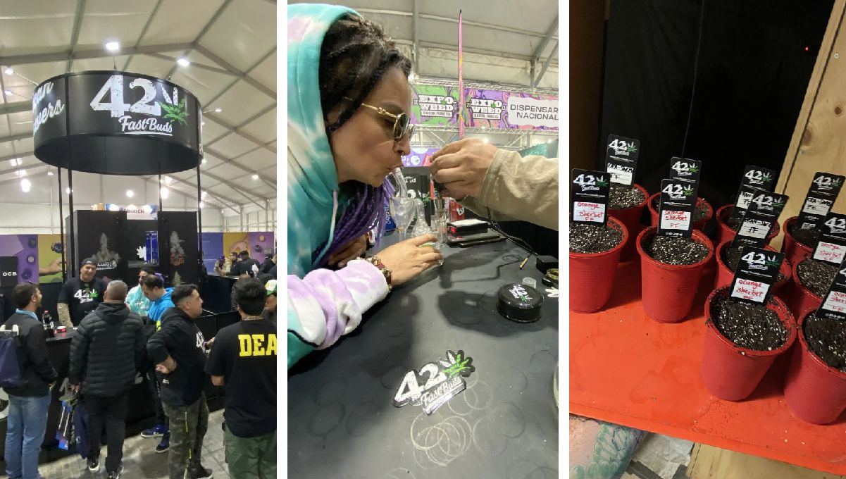 ExpoWeed Chile 2023