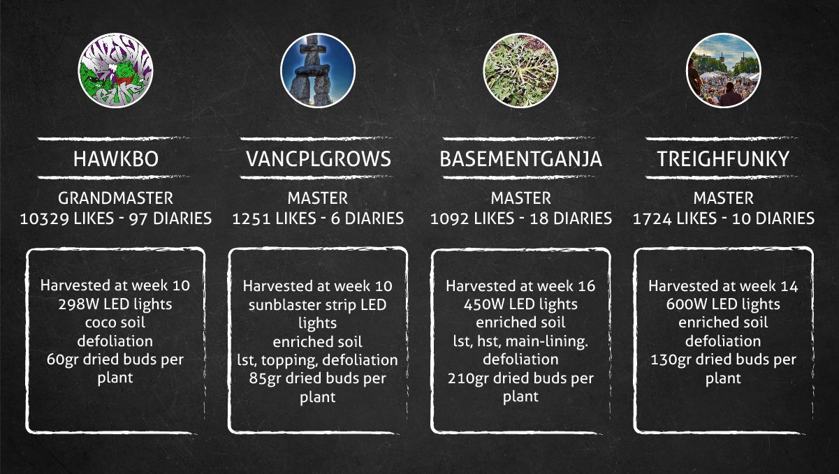 Wedding Cheesecake Auto Cannabis Strain: outcome table Wedding Cheesecake Auto Cannabis Strain: outcome table