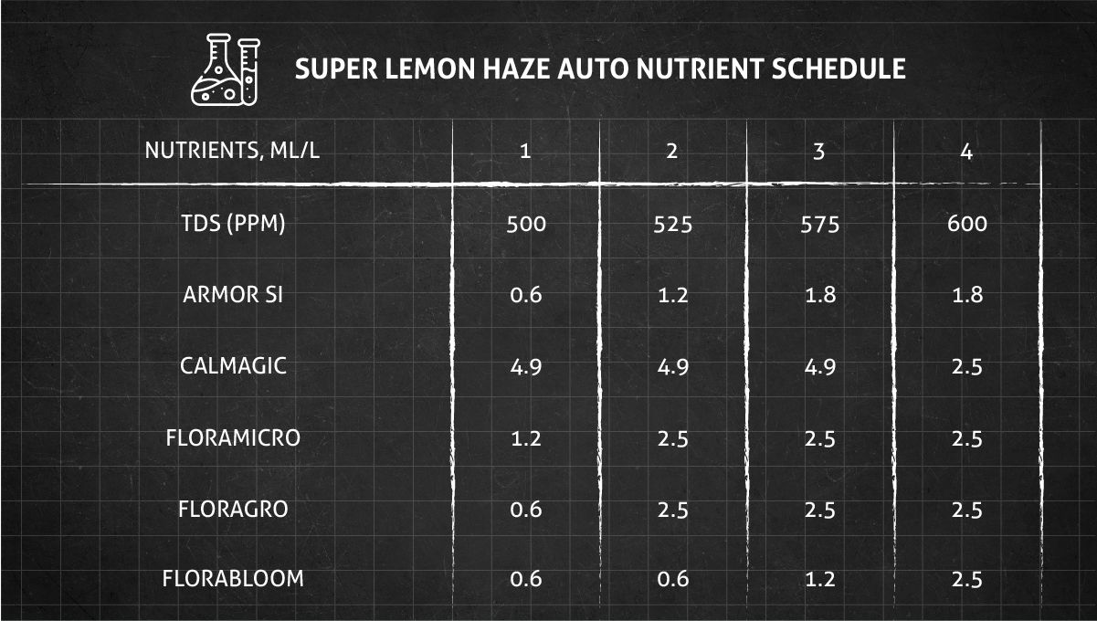 Super Lemon Haze Auto cannabis strain: feeding chart for the vegetative stage Super Lemon Haze Auto cannabis strain: feeding chart for the vegetative stage