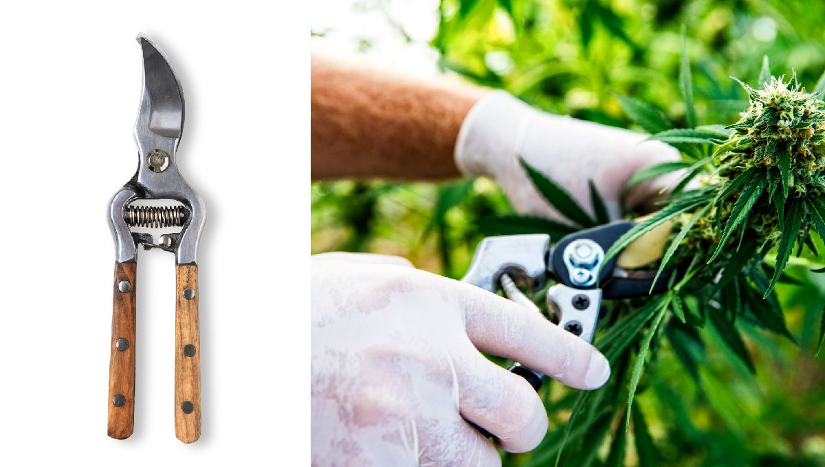 Top 8 growing gadgets: trimming scissors
