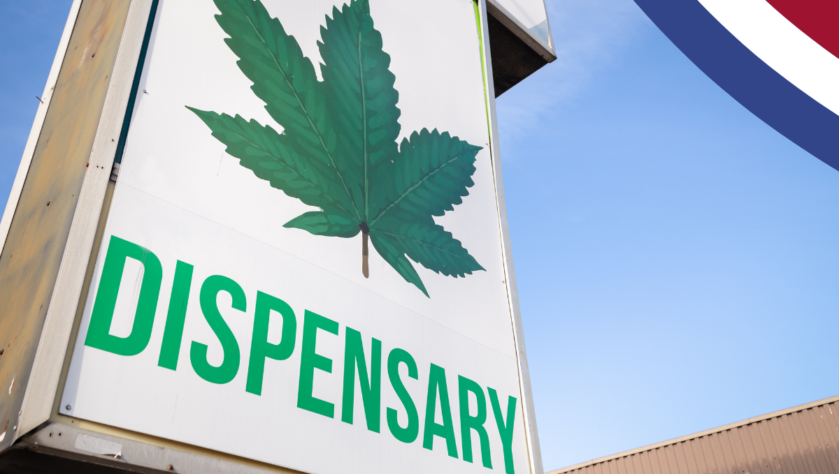 Rotterdam, Holland, Will Allow Cannabis Cafes and Dispensaries: Describe what's on the photo for blind readers