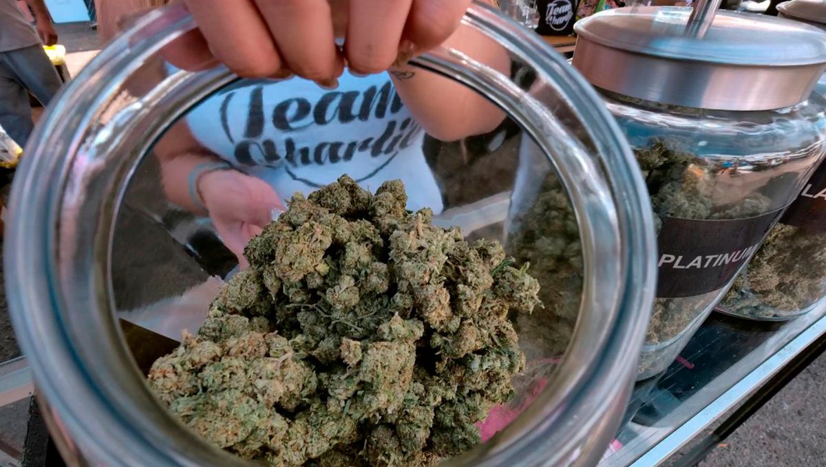 Die Einmachgläser sollten luftdicht sein, damit das Gras frisch bleibt. Die Einmachgläser sollten luftdicht sein, damit das Gras frisch bleibt.