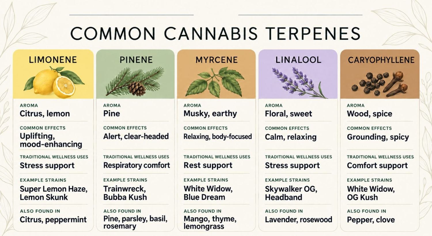 What Are Trichomes And Their Importance: Common cannabis terpenes and their effects What Are Trichomes And Their Importance: Common cannabis terpenes and their effects