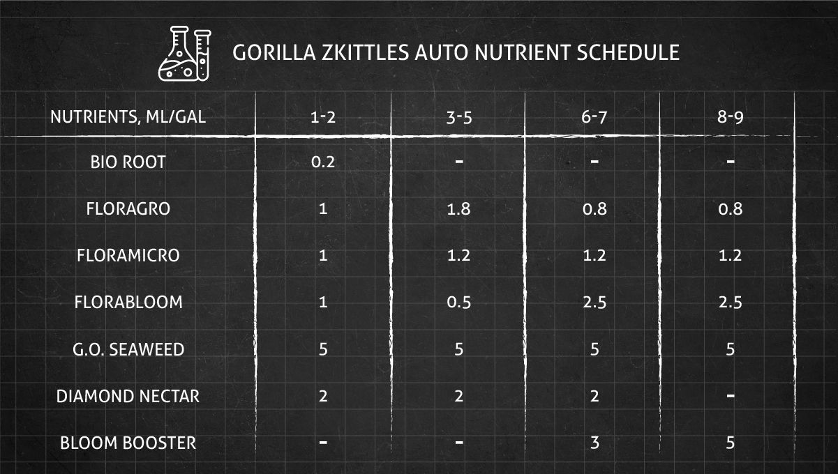 Gorilla Z Auto cannabis strain: veg nutrient schedule Gorilla Z Auto cannabis strain: veg nutrient schedule