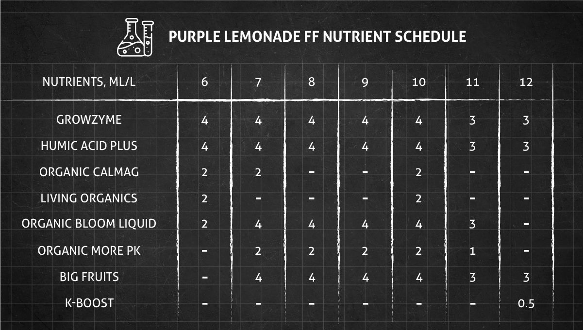Purple Lemonade FF cannabis strain: flower nutrient schedule Purple Lemonade FF cannabis strain: flower nutrient schedule