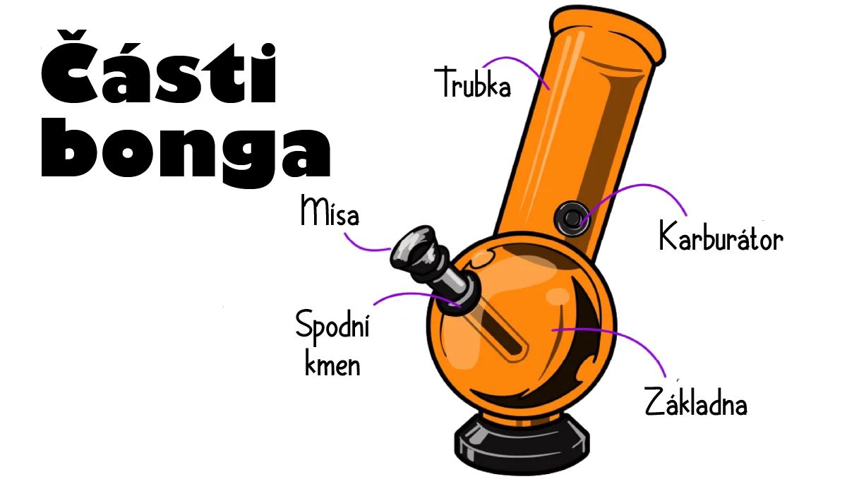 Základní části bonga