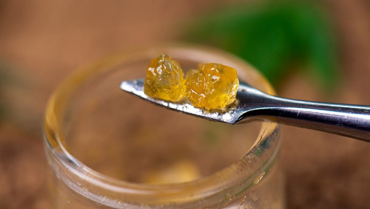 How Much is a Half Ounce of Weed? The Complete Weed Price Breakdown: Two pieces of cannabis wax on a metal dabbing tool How Much is a Half Ounce of Weed? The Complete Weed Price Breakdown: Two pieces of cannabis wax on a metal dabbing tool