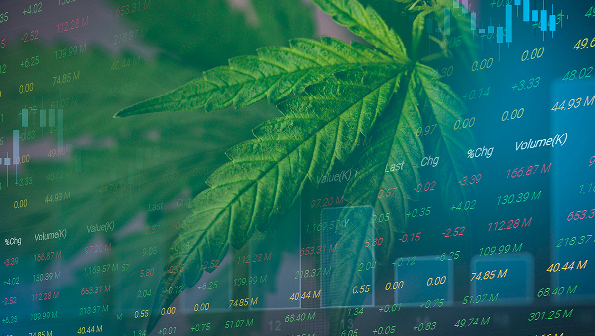 Legal Cannabis Accounts For $43.5B in Canada’s GDP Since 2018: Marijuana leaf on the background of stock quotes