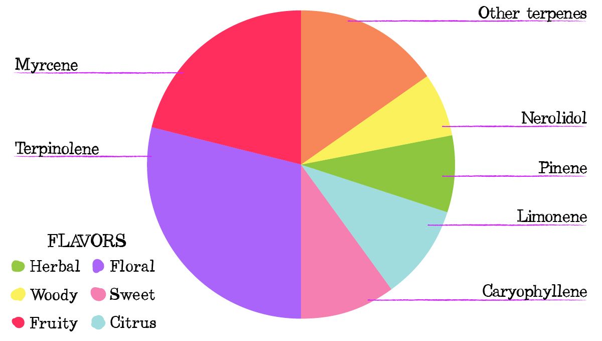 Moby dick auto week-by-week: terpene profile Moby dick auto week-by-week: terpene profile