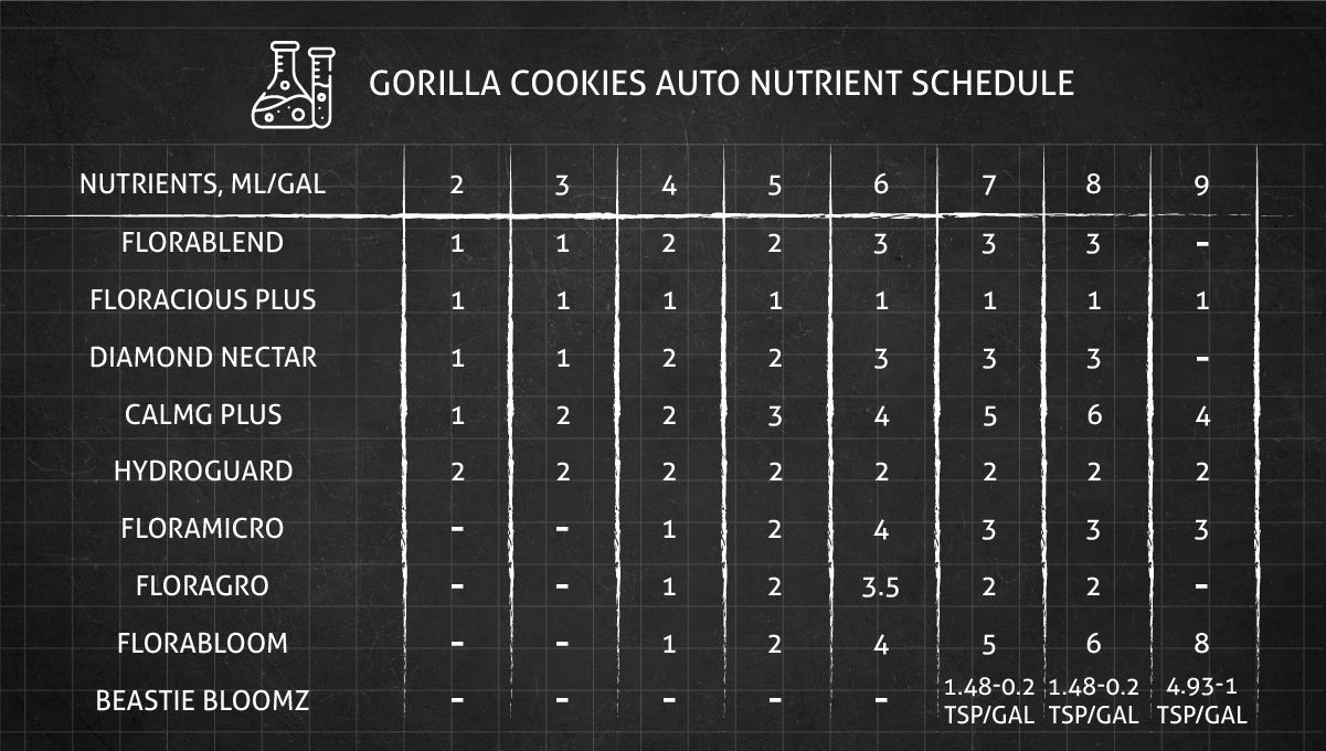 Gorilla Cookies Auto Cannabis Strain Week-by-Week Guide: Feeding schedule
