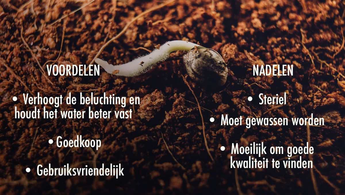 Welke grond is het beste voor zelfbloeiende cannabis?: Voor- en nadelen van het gebruik van kokos in je grond 