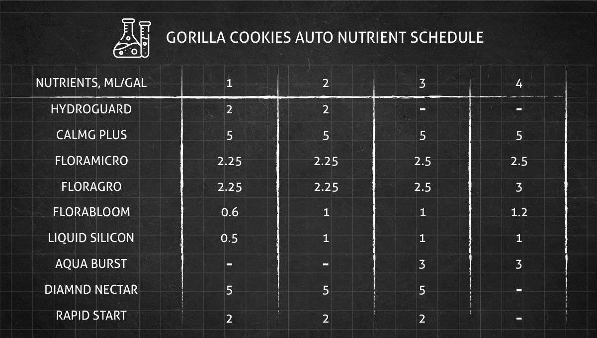 Gorilla Cookies Auto Cannabis Strain Week-by-Week Guide: Feeding chart