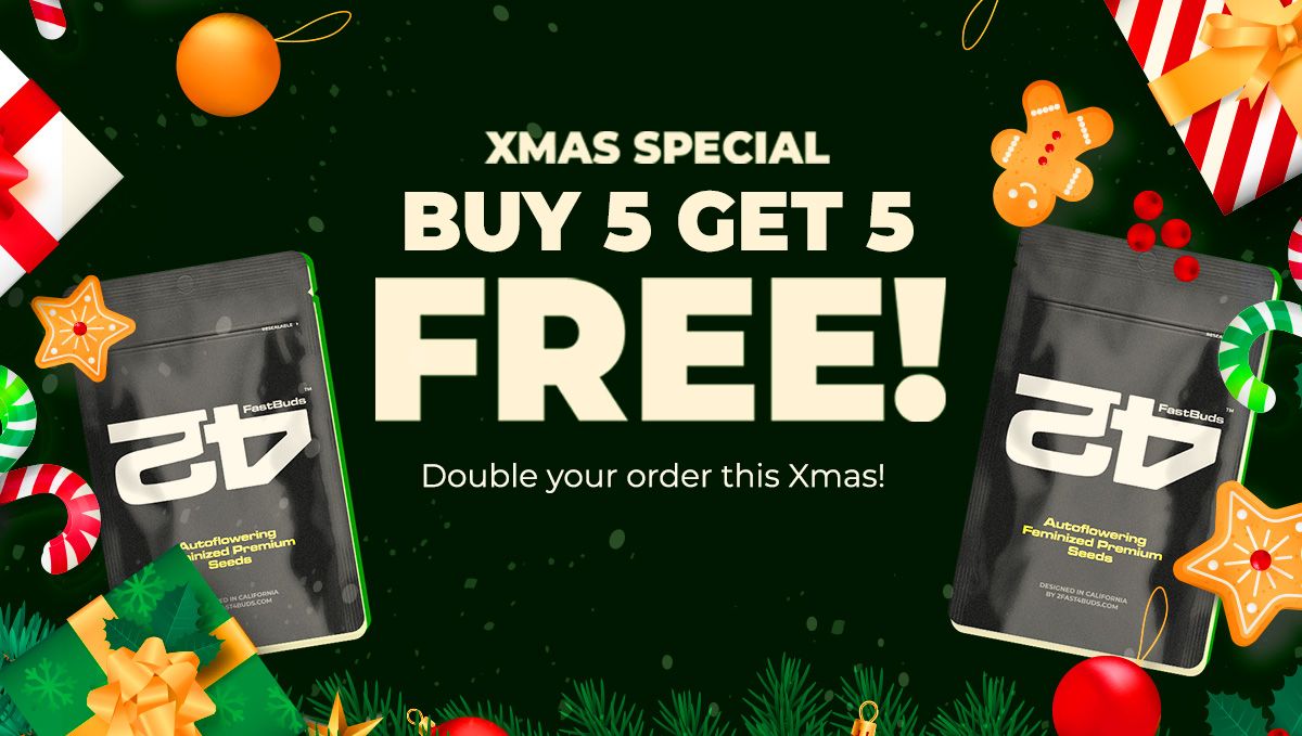 Xmas Special.jpg Nejlepší dárky u Fast Buds!