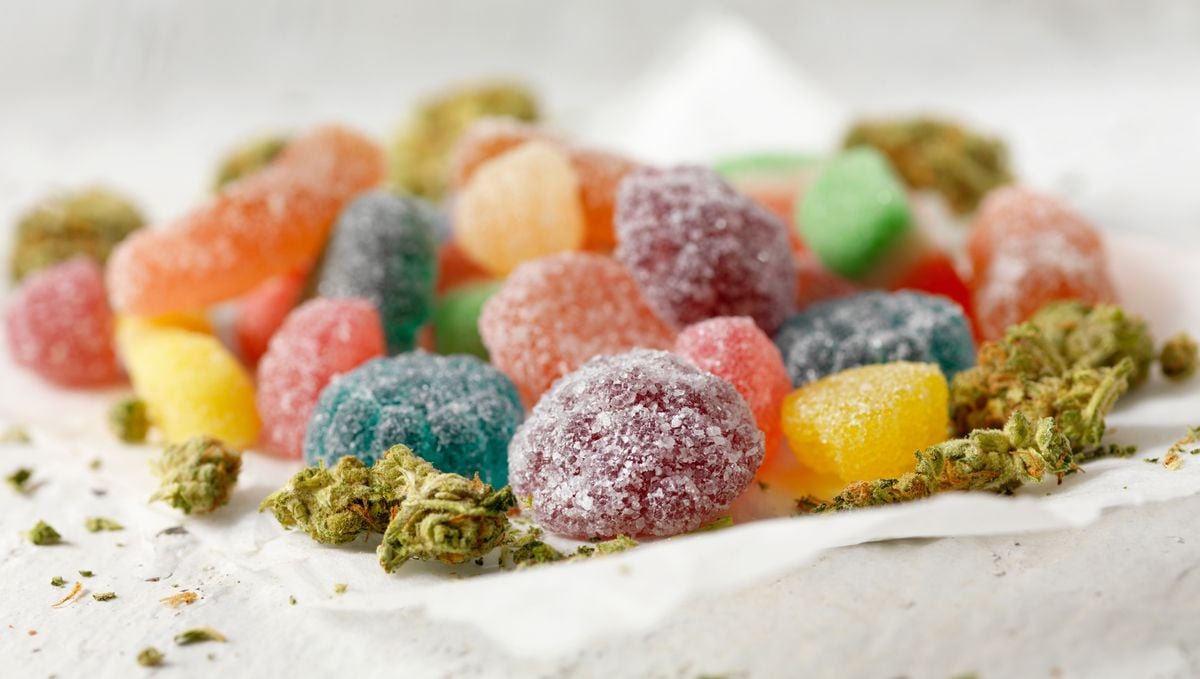 The drug effect of edible marijuana: what are edibles? The drug effect of edible marijuana: what are edibles?
