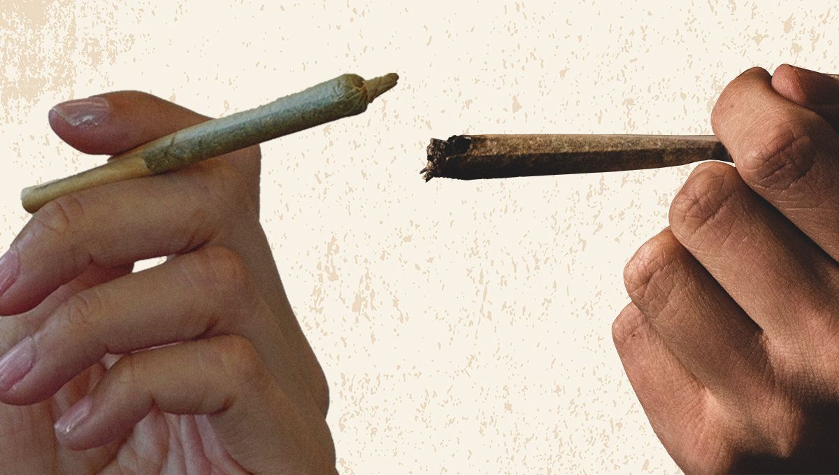 Joint vs Blunt vs Spliff: All Differences Explained | Fast Buds