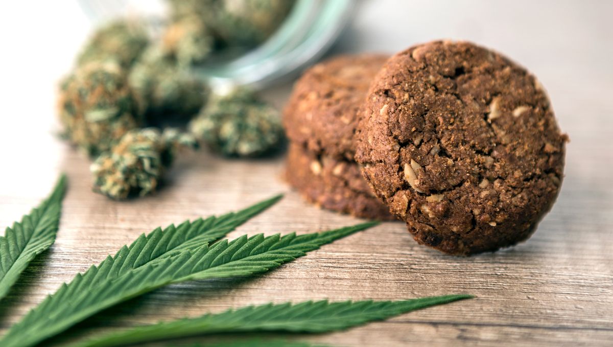 The drug effect of edible marijuana: cannabis edibles The drug effect of edible marijuana: cannabis edibles