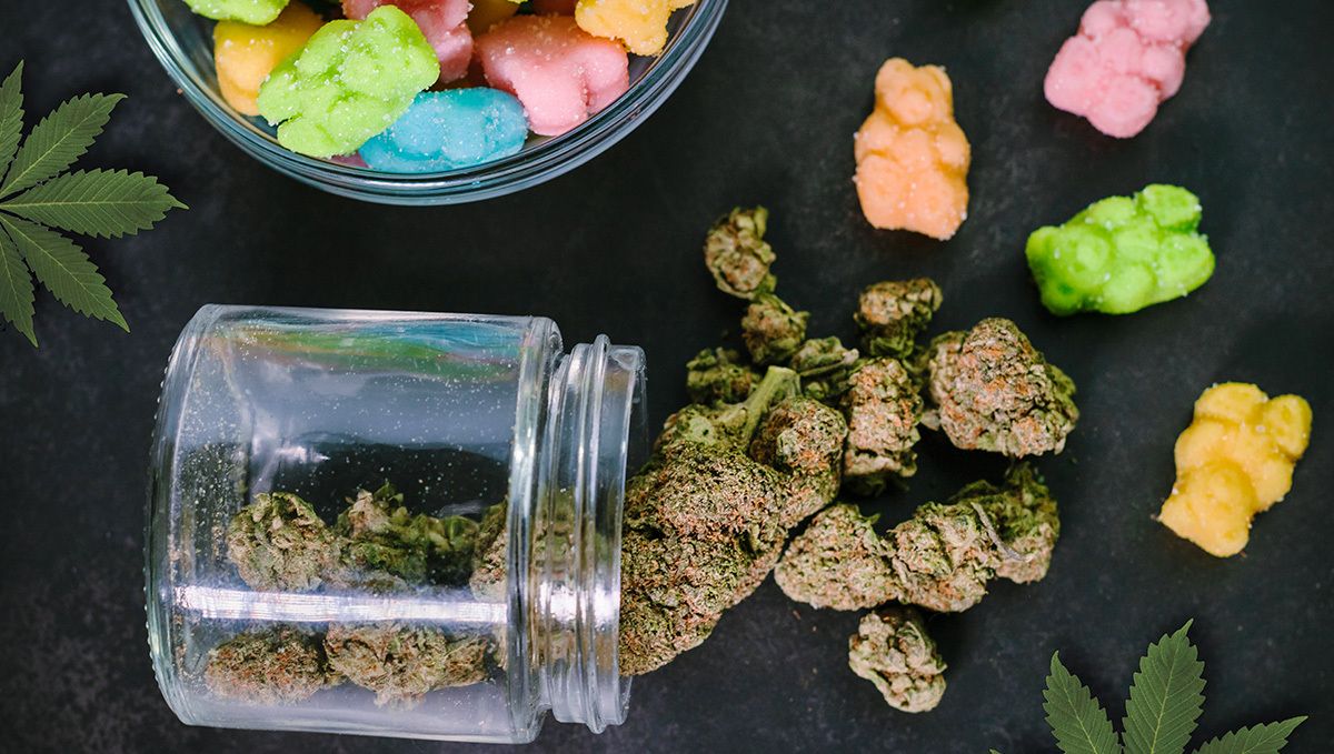 How to make weed gummy bears: why make thc gummies How to make weed gummy bears: why make thc gummies