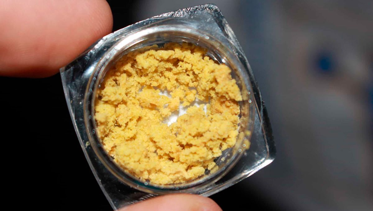 Cannabis Shatter: What Is It, How To Make And Smoke THC & CBD Hash Oil: A closeup of a person's fingers holding a small container with bright yellow wax Cannabis Shatter: What Is It, How To Make And Smoke THC & CBD Hash Oil: A closeup of a person's fingers holding a small container with bright yellow wax