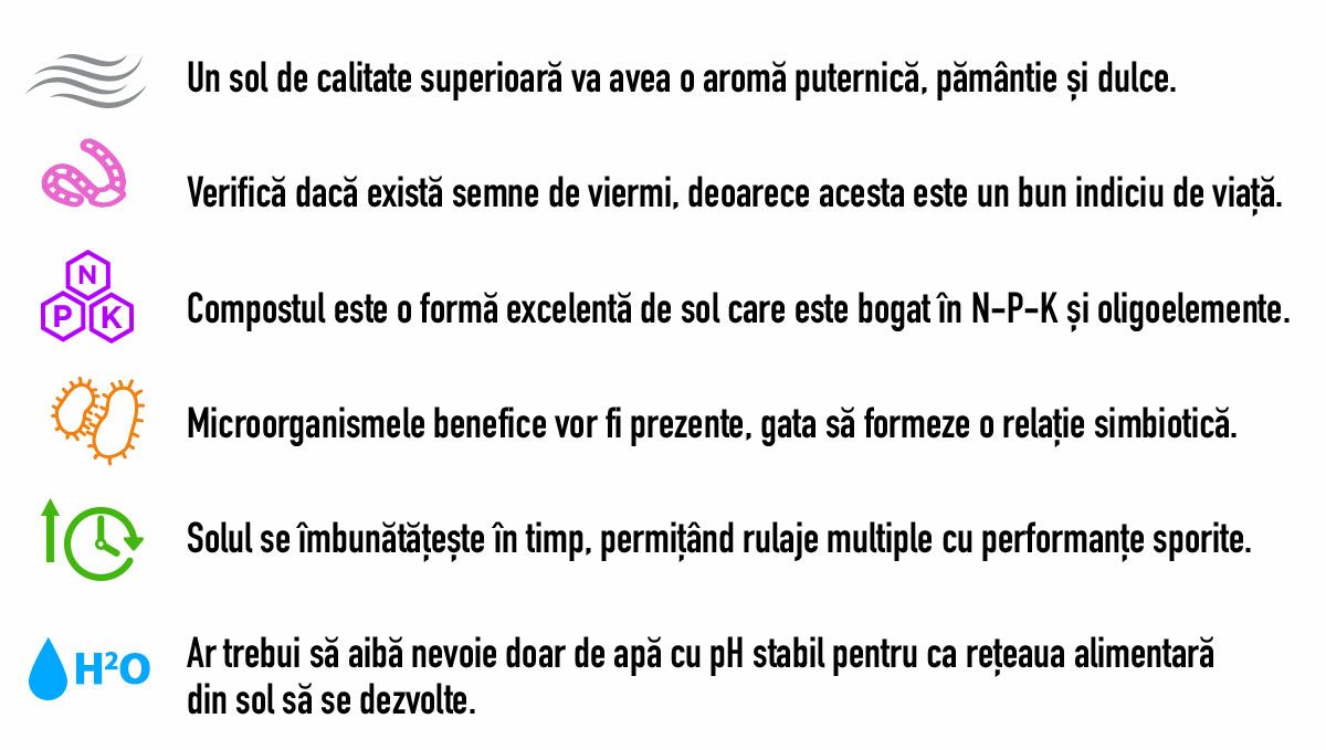 Cei mai buni nutrienți pentru sol