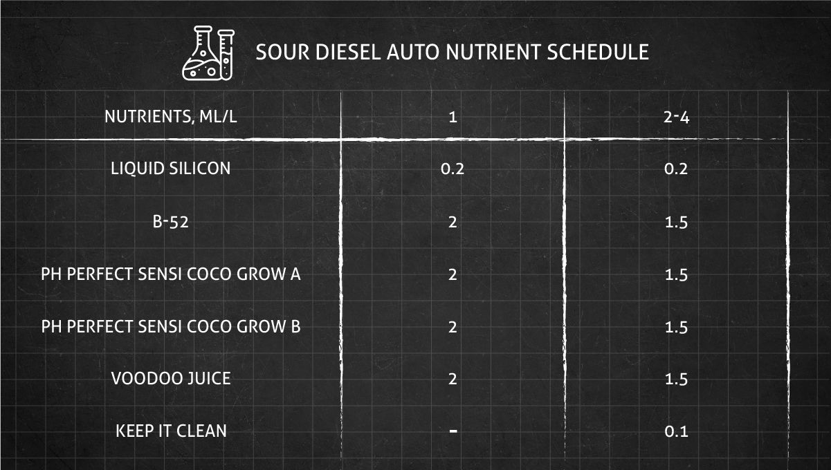 Sour Diesel Auto cannabis strain: feeding chart for the vegetative stage. Sour Diesel Auto cannabis strain: feeding chart for the vegetative stage.