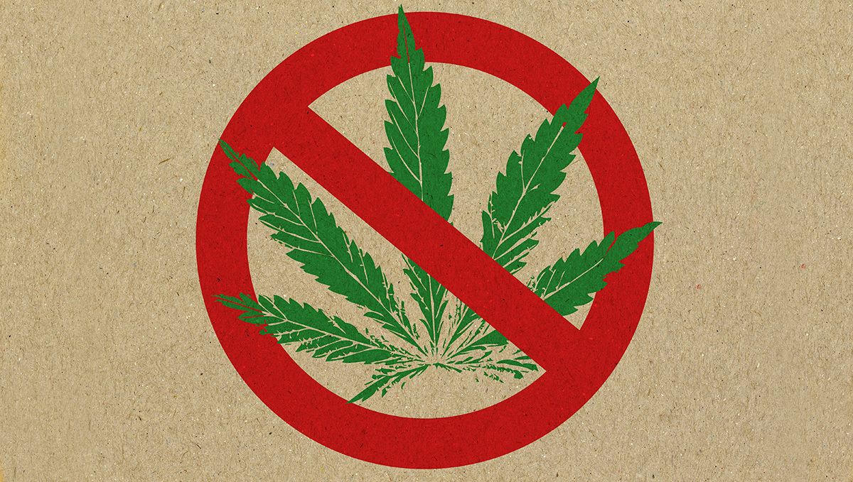 The origin of the word ‘marijuana’: 1937 was a true turning point The origin of the word ‘marijuana’: 1937 was a true turning point