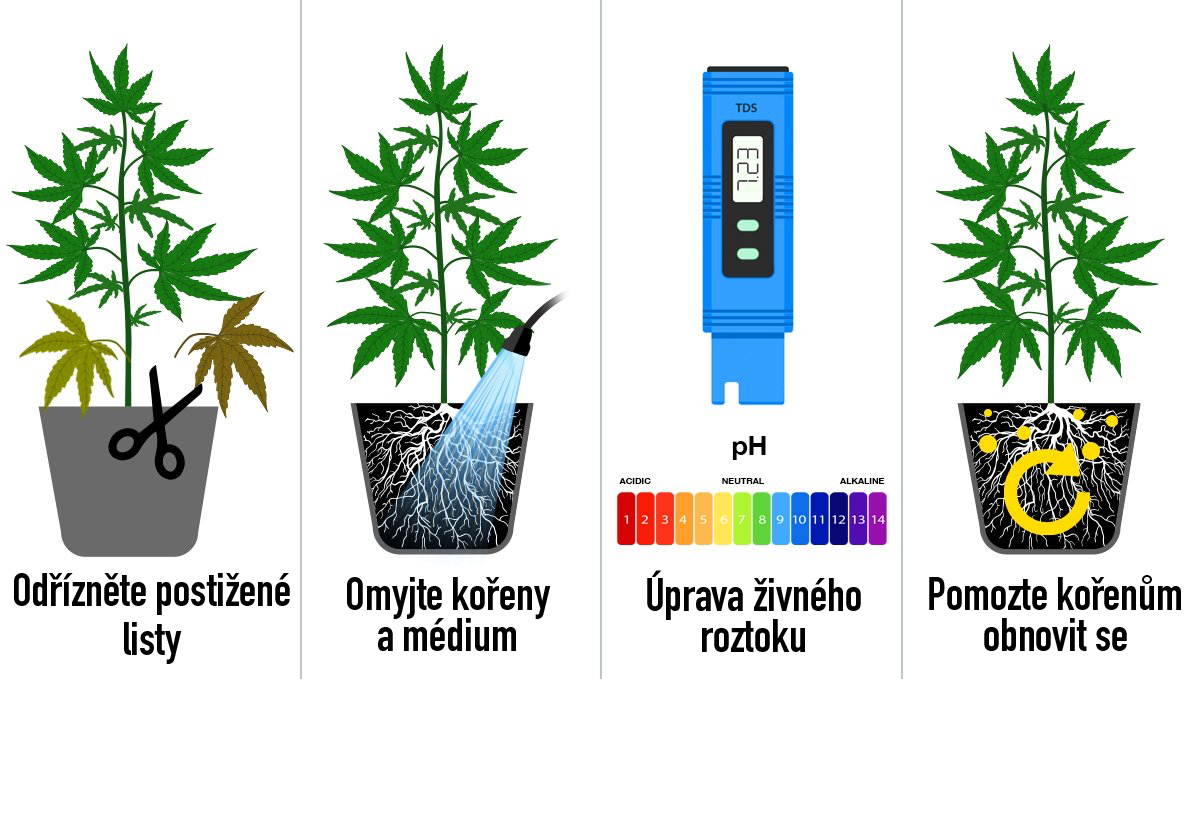 Co je překrmování: 4 kroky, jak se vypořádat s popáleninami od dusíku