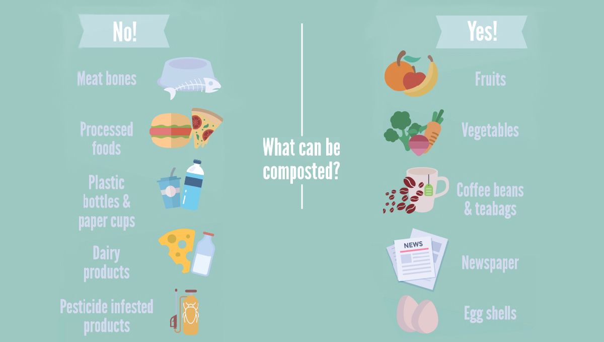 What to compost? What to compost?