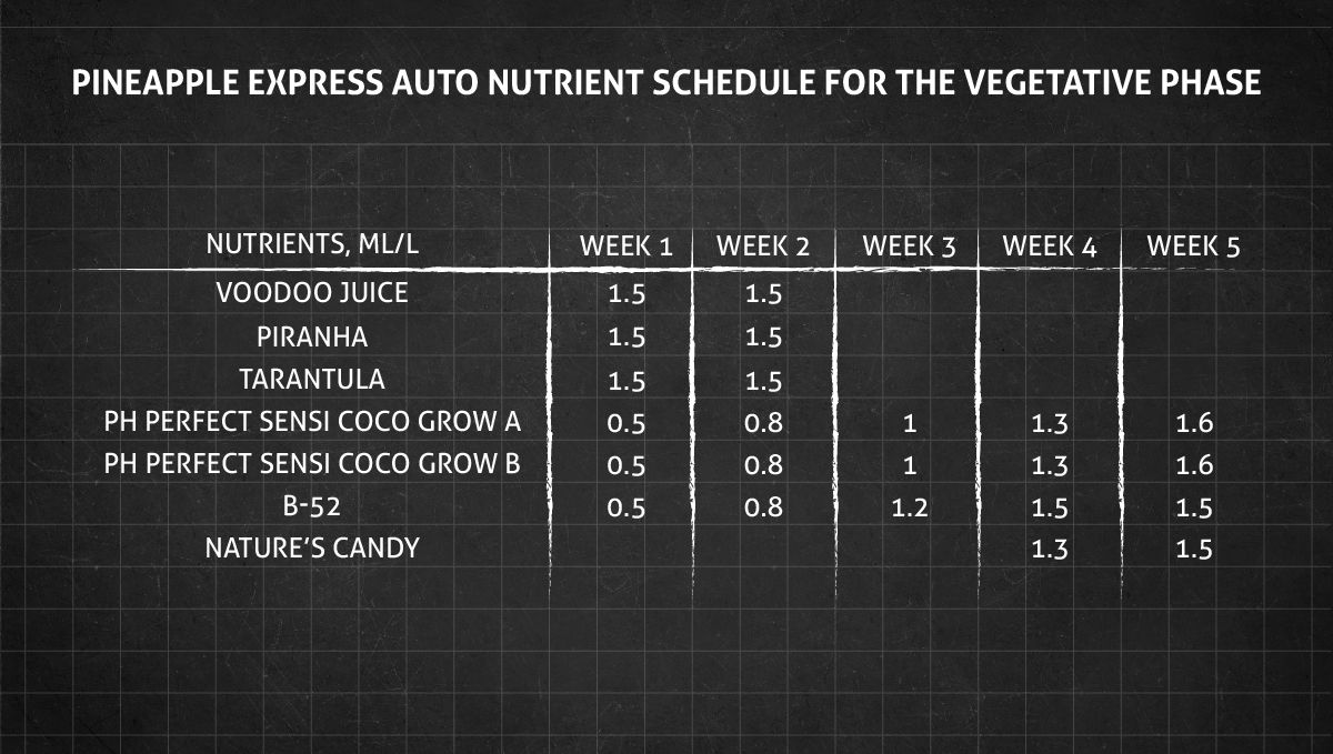 Pineapple Express Auto cannabis strain: veg nutrient schedule