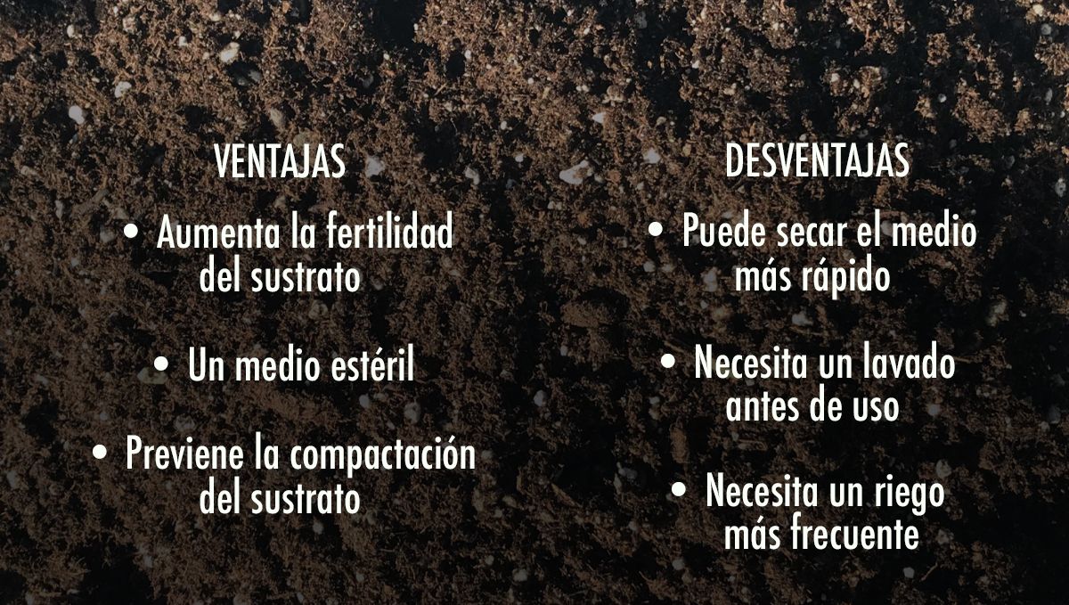 Ventajas y desventajas de añadir perlita al sustrato