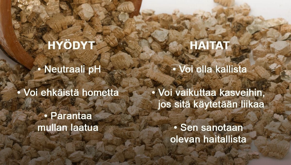 Hyödyt ja haitat vermikuliitin lisäämisestä multaan Hyödyt ja haitat vermikuliitin lisäämisestä multaan