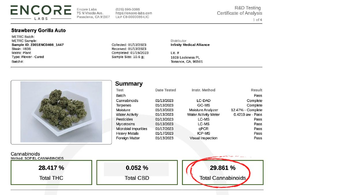 Labortest von Strawberry Gorilla Auto Labortest von Strawberry Gorilla Auto