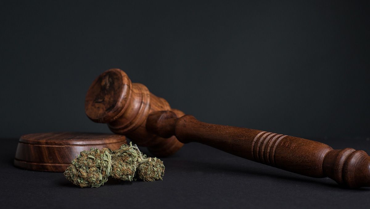 Weed in portugal: cannabis laws in portugal Weed in portugal: cannabis laws in portugal