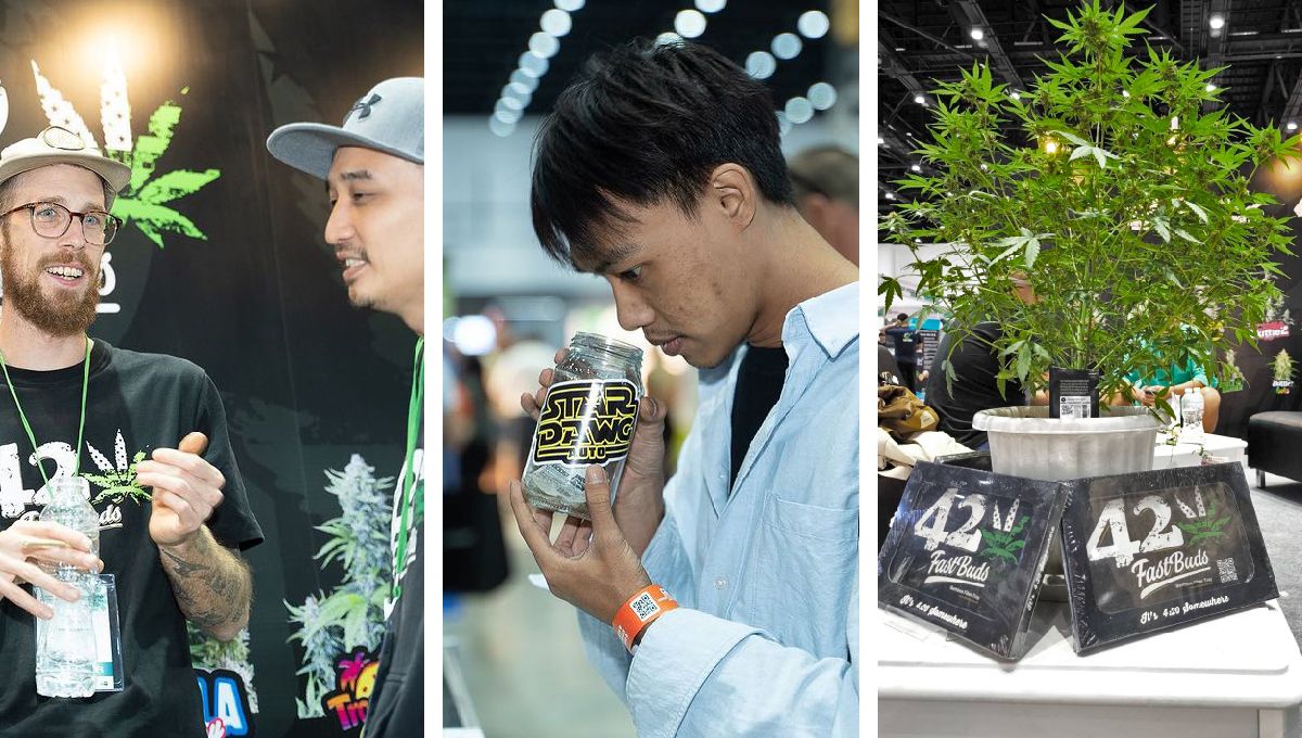 Asia International Hemp Expo: A One-of-a-Kind Experience Asia International Hemp Expo: A One-of-a-Kind Experience