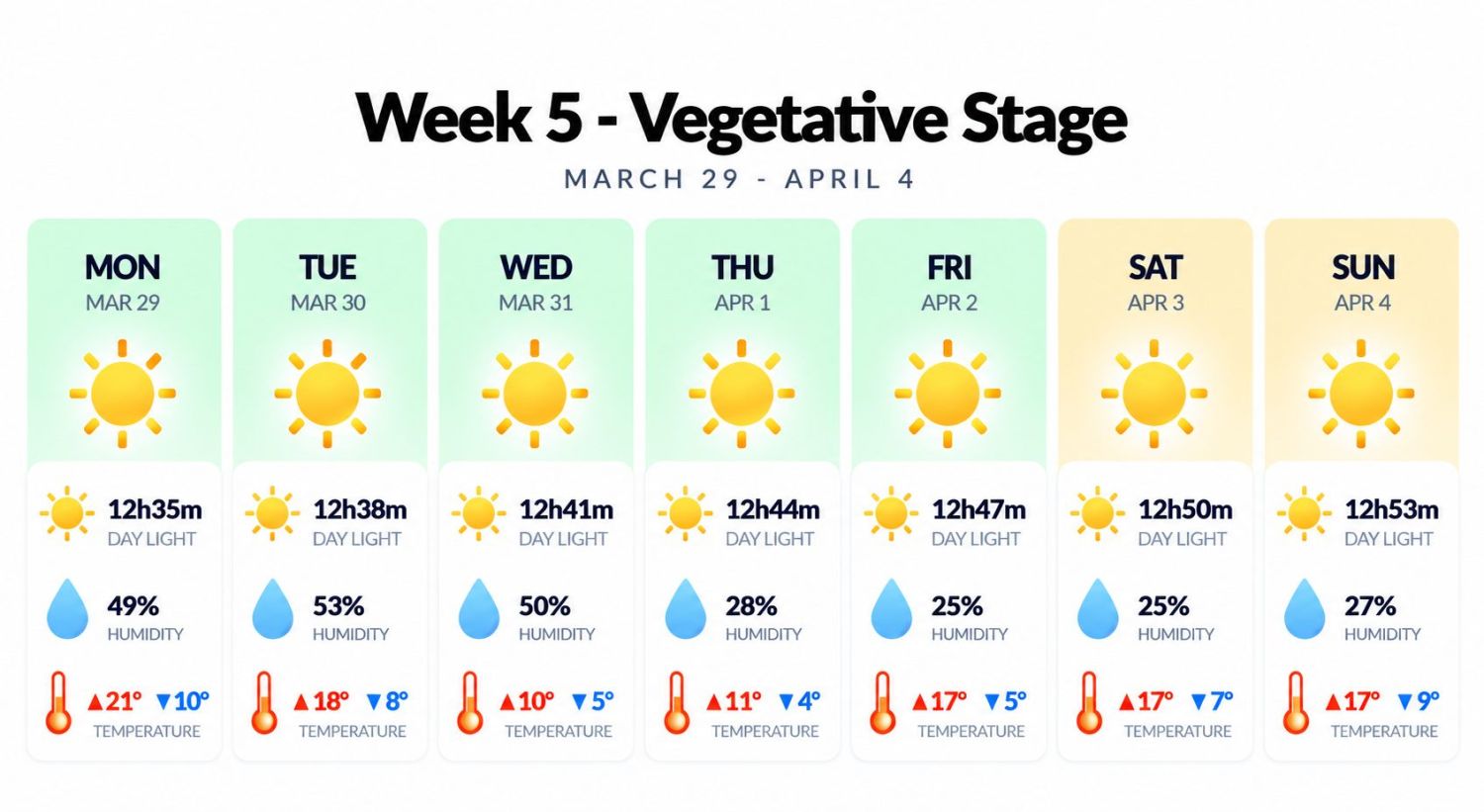 Growing cannabis outdoors in Italy: week 5 of the vegetative stage
