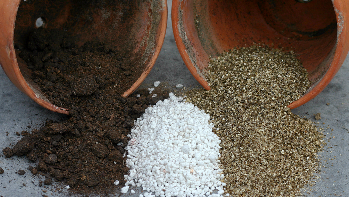 How to grow weed at home: soil How to grow weed at home: soil