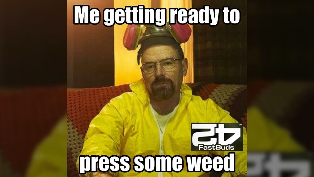 Fast Buds Meme Breaking Bad
