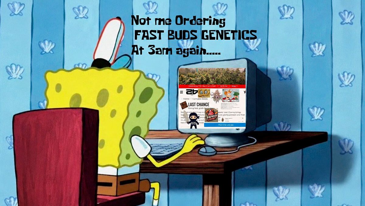 Fast Buds Meme Spongebob