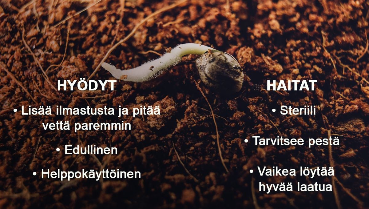 Hyödyt ja haitat kookoskuidun lisäämisestä multaan Hyödyt ja haitat kookoskuidun lisäämisestä multaan