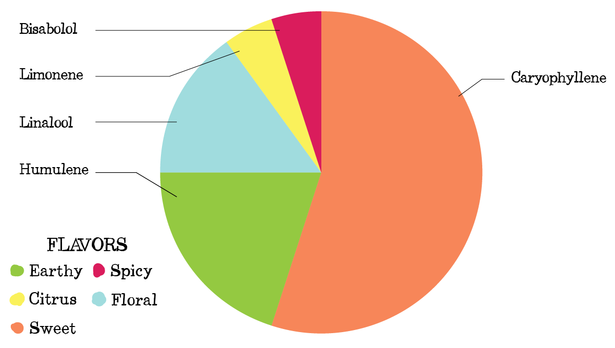 Acapulco gold cannabis strain week-by-week guide: terpene profile