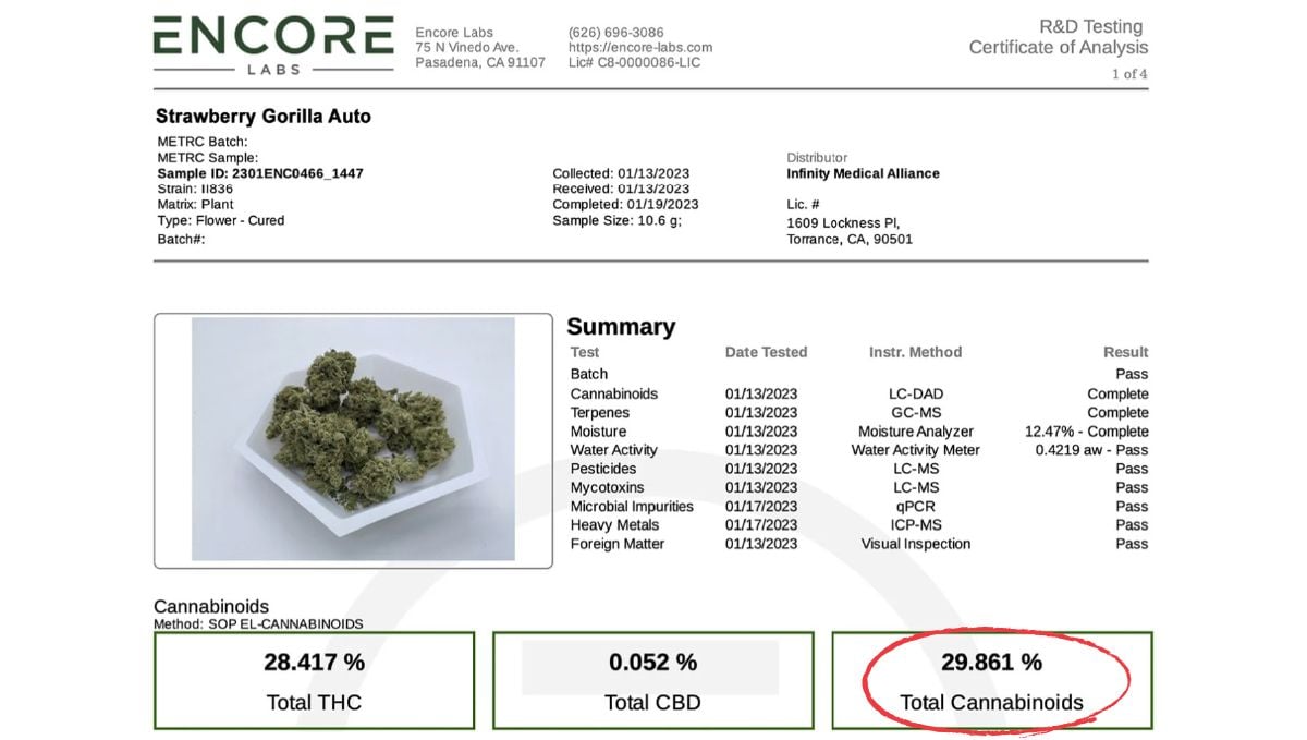 Der THC-Gehalt von Strawberry Gorilla Auto stellt einen neuen Weltrekord auf!