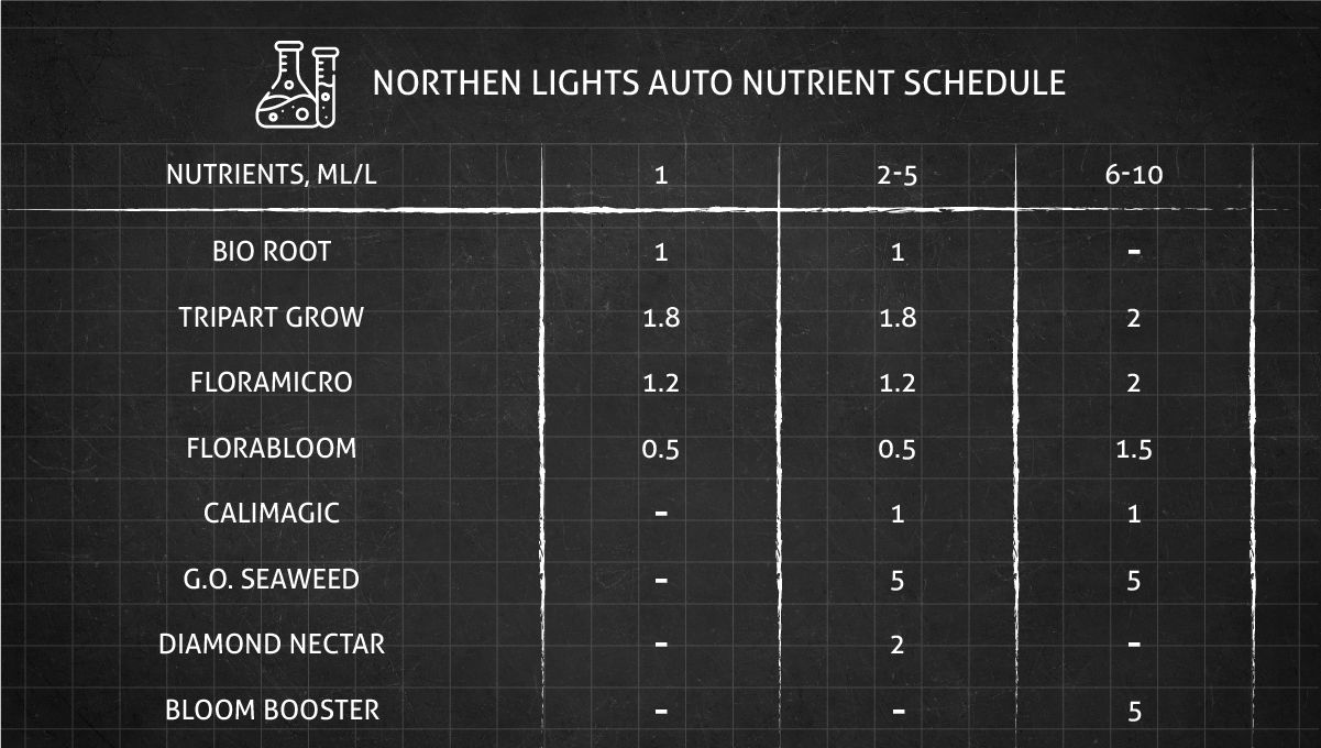 Northern Lights Auto cannabis strain: feeding chart for the vegetative and flowering stage