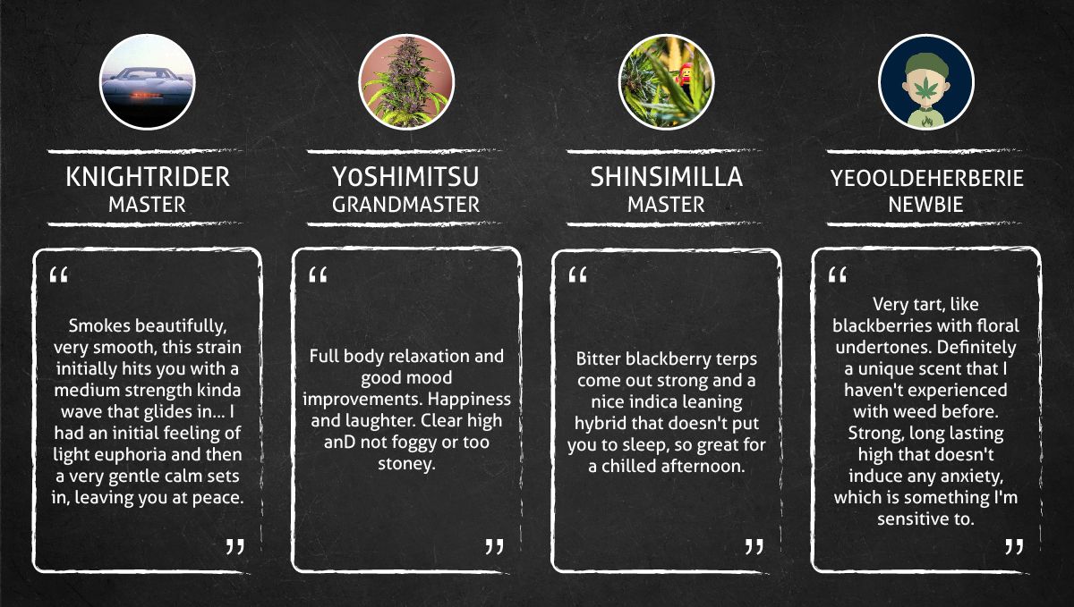 Blackberry Auto cannabis strain: smoke report