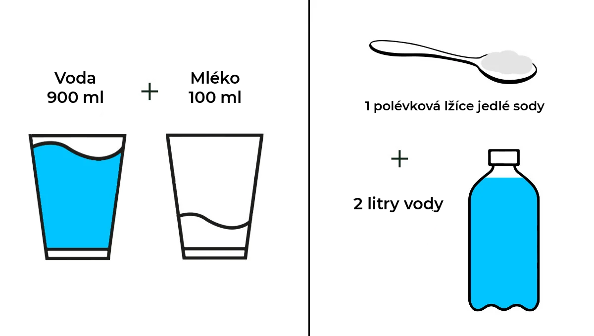 Nejčastější škůdci konopí: Směs na odstranění plísně moučnaté Nejčastější škůdci konopí: Směs na odstranění plísně moučnaté