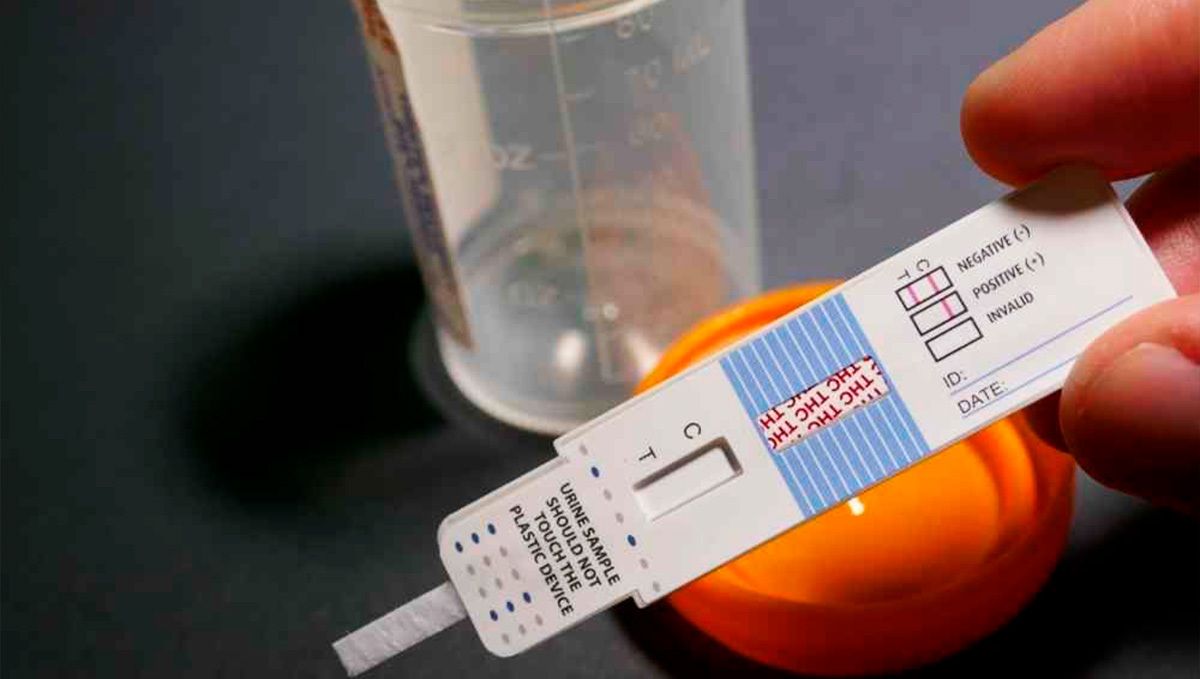 How to pass drug tests: understand the tests