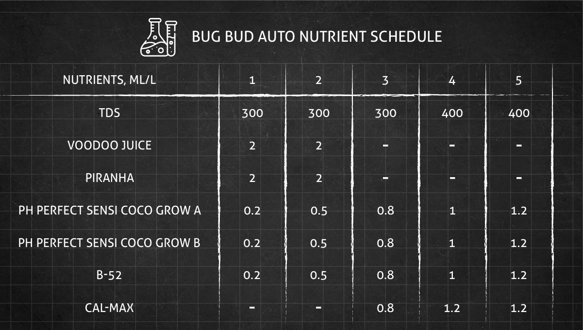 Big Bud Auto Cannabis Strain: feeding schedule for the vegetative stage Big Bud Auto Cannabis Strain: feeding schedule for the vegetative stage